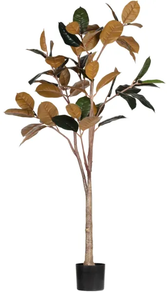 Gummiväxt, konstgjord växt, grön, H170x106x63 cm